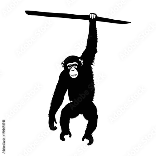 Vector silhouette of a molar tooth with roots, dental anatomy, black shape on white background, dentistry icon.