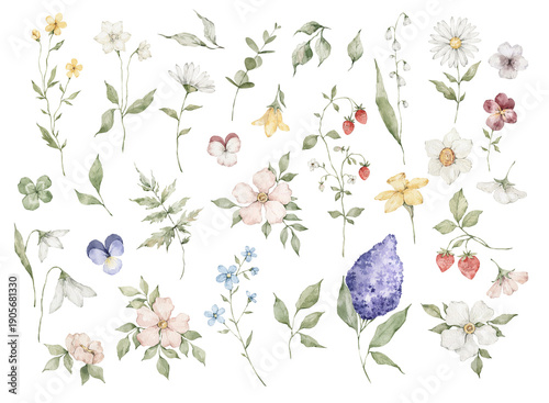 Watercolor set with wild spring meadow flowers and leaves. Wildflowers set, strawberries, violet, snowdrop, lilac, narcissus, daisy. Floral illustration