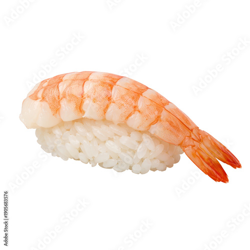 Sushi shrimp nigiri rice seafood appetizing sushi shrimp nigiri on rice closeup detail
