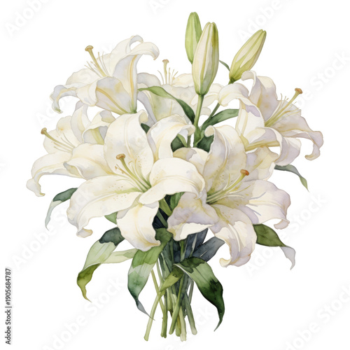 Lily flower bouquet watercolor botanical vintage illustration white