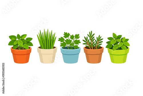 Various plants in colorful pots arranged in a row, placed on a simple background, showcasing different types of herbs and greens