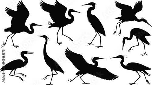 Heron and egret bird silhouette collection in various poses isolated on white background, wading waterfowl wildlife set for design projects