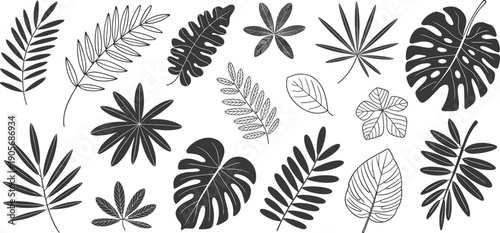 WebSilhouette leaves illustration, botanical vector art, tropical and temperate foliage design, black figures, decorative nature artwork, plant scene