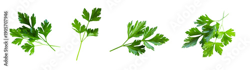 Valokuva Parsley on a white background. Selective focus. Food.