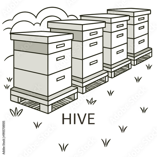 Clean of beehives on pallets in a field bee hives apiary
