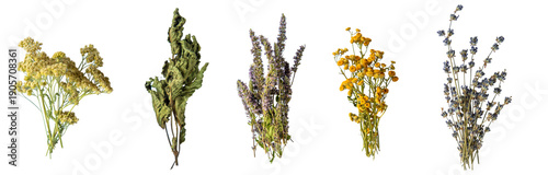 Photos Medicinal herbal extract. Selective focus. Nature.