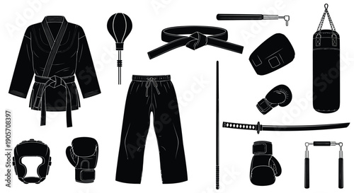 Martial Arts Vector Icon Set