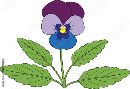 Purple and blue pansy flower illustration with green leaves isolated on white background, botanical floral vector design for spring garden themes and nature decor