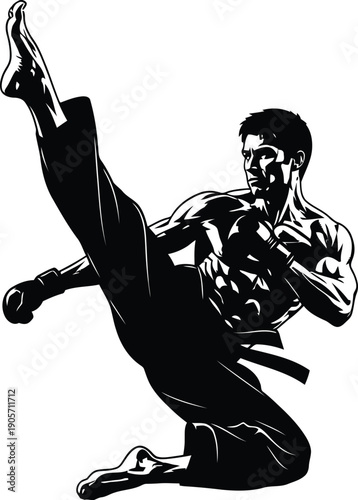 Martial Arts Master: High-Kicking Karateka in Dynamic Action Pose.