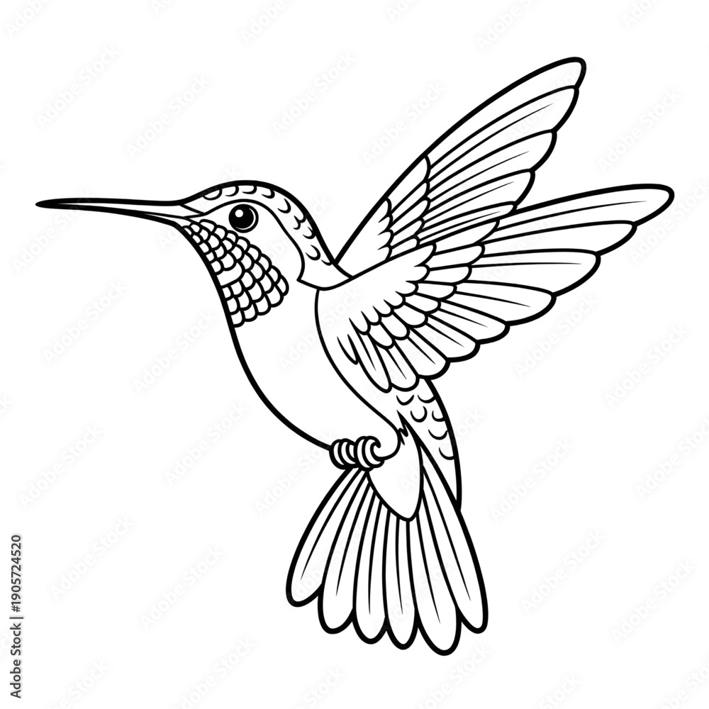 Obraz premium hummingbird vector illustration coloring page line art 