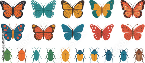 Colorful butterflies and beetles illustration set flat vector insects collection isolated white background nature wildlife cartoon design