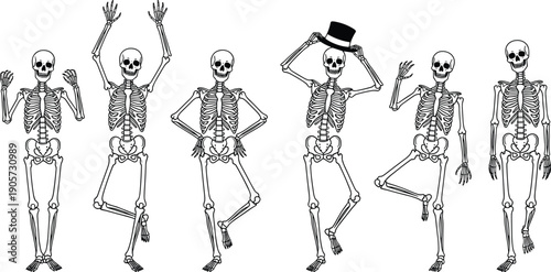 WebCollection of black and white human skeleton silhouettes and line art icons featuring various funny dancing poses and skull characters isolated on white background