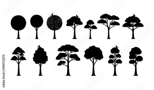 Minimal tree silhouette vector collection with abstract canopies and birds