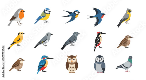 Collection of Various Bird Species Illustrations.