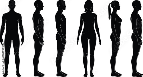 WebHuman anatomy silhouette collection featuring male and female body figures in front and side views for medical health fitness and athletic lifestyle vector illustration.