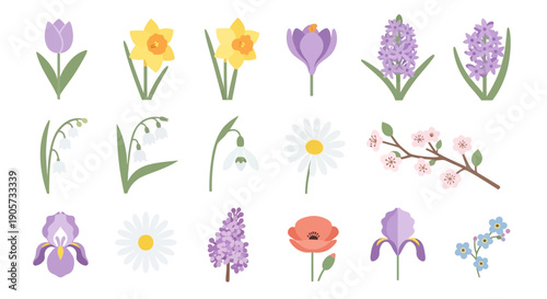Collection of Various Watercolor Style Flowers.