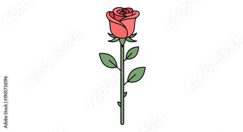 Charming coral rose illustration showcasing elegant petals and verdant leaves