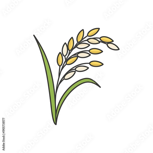 Rice or wheat grain plant icon.