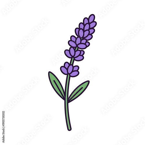 Lavender flower sprig icon.