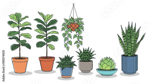 A diverse collection of popular green houseplants in various pots, ideal for interior decoration articles, home gardening blogs, or educational materials about botanical life.