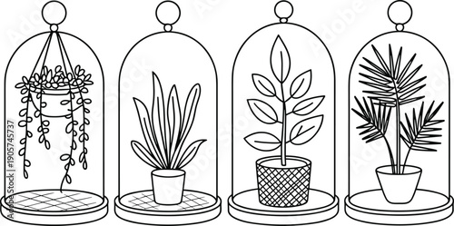 Glass dome terrarium illustration set, indoor plant decor, minimalist botanical line art, modern vector design, isolated black white style