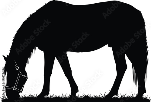 Horse silhouette wearing a bridle stands grazing on grass in a simple black and white vector representation.