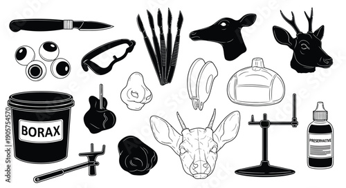 Taxidermy Tools Vector Icons