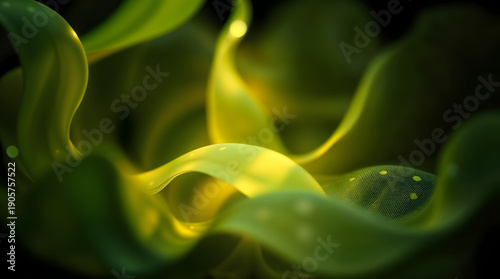 Low Key Abstract Bio Digital Harmony with Organic Forms and Holographic Light Layers