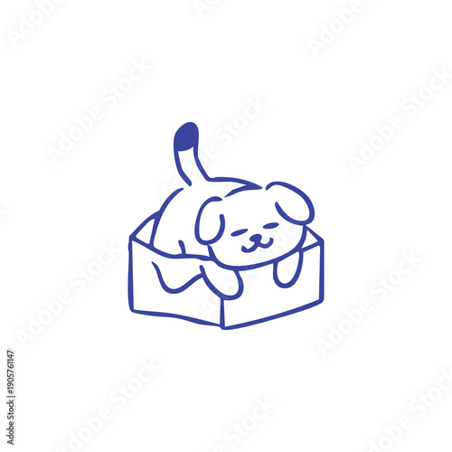 Puppy Resting in a Box