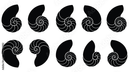 Collection of black nautilus shell silhouettes with spiral designs on white background