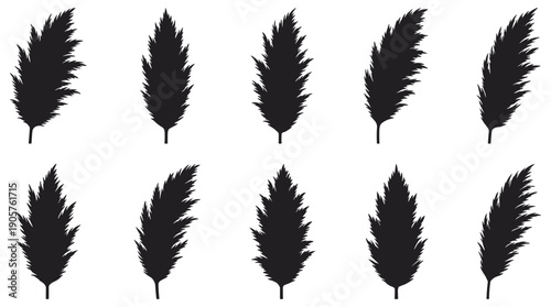 Collection of black feather silhouettes on white background, various shapes and sizes