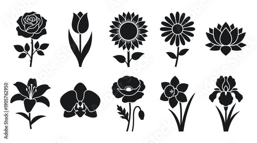 Black silhouettes of various flowers on white background, floral icons set