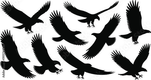 Collection of black eagle silhouettes in various flying poses bird wings