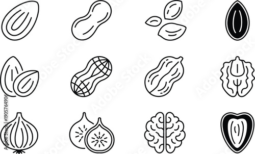 Hand-drawn black outline nut and seed icons vector set, almond, peanut, pistachio, walnut, cashew, fig, onion, flat line art for packaging