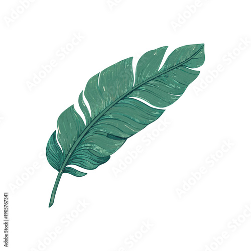Tropical Banana Leaf Vector Design with Bold Shapes and Minimalist Aesthetic