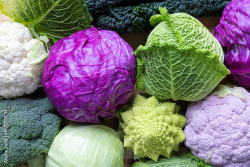 Many different types of cabbage on wood  table