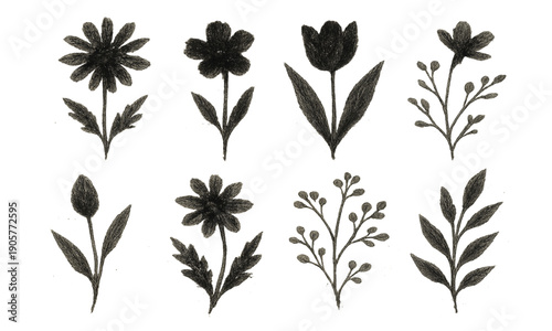 Grunge silhouette style flower art set or collection. Ink, charcoal, pencil, chalk or wax crayon style plants or floral elements drawing. Abstract hand drawn herbs for scrapbooking design and journal