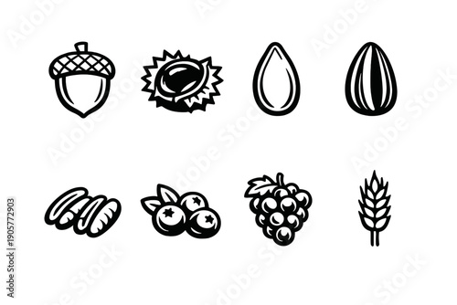 Fruits and nuts icon set. Containing berry, grape, almond, acorn, sunflower, seed, harvest, walnut and more.