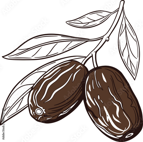 Whole Green Cardamom Herb