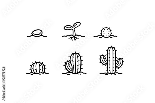 Plant Growth Icon Set: Featuring Seed, Sprout, Cactus, Succulent, Flower, Root, and More