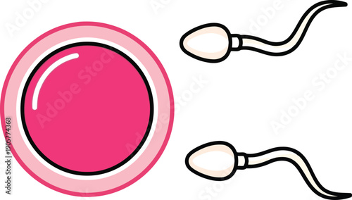 Illustration of Sperm and Egg Cell for Fertility and Reproduction Concepts