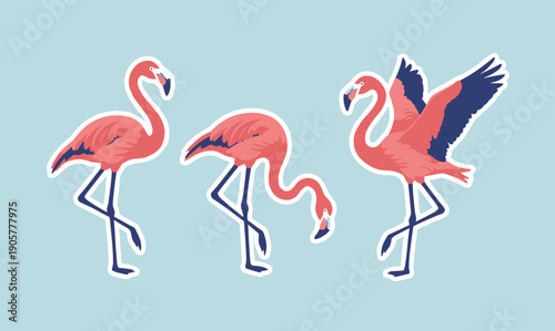 Set of pink flamingo bird stickers in various poses standing on one leg and spreading wings isolated on blue background flat vector illustration