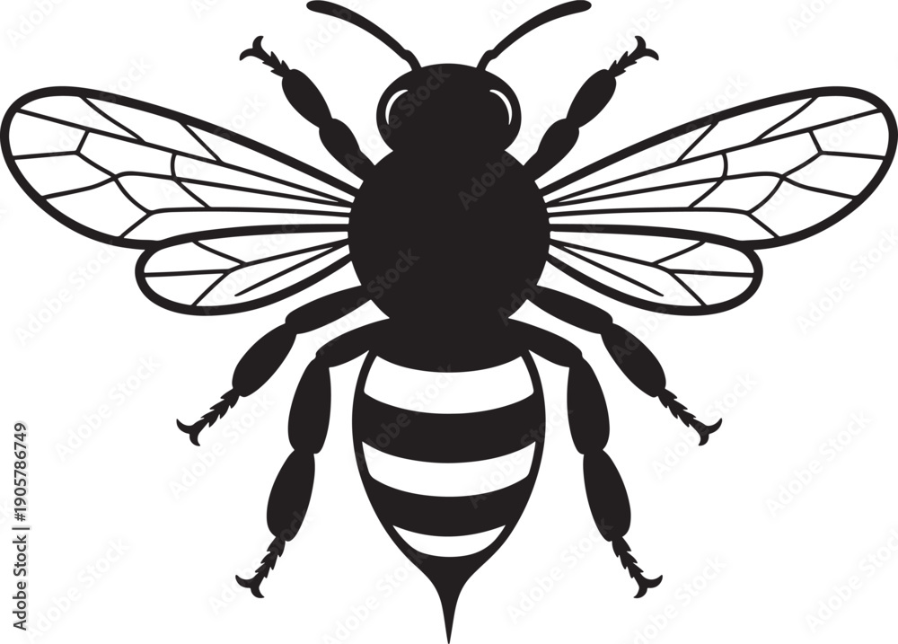 Fototapeta premium bee silhouette flying insect