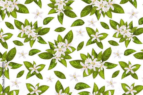 Beautiful white flowers and green leaves on white background
