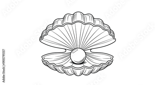 Detailed line-art illustration of an open clam shell with a precious pearl inside captures the classic beauty of treasures found in the deep ocean.