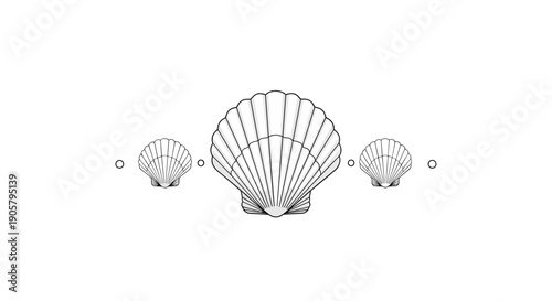 Horizontal arrangement of three detailed hand-drawn scallop seashells provides an elegant marine-themed border or decorative element for art.