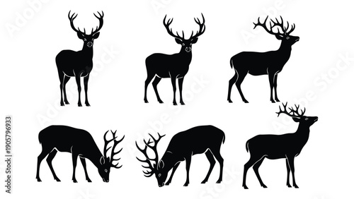 A group of black silhouettes of deer in various poses on a white background. Vector