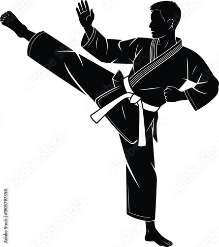 Karate fighter silhouette executing high kick, martial arts athlete wearing kimono and belt, combat training illustration isolated on white