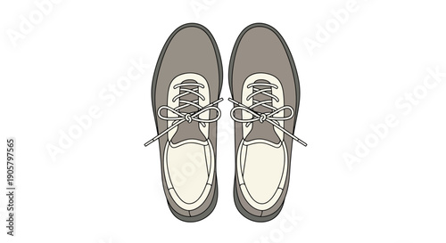 Top View of Two Gray Canvas Lace Up Shoes with White Soles and Laces Isolated on a White Background Showing Craftsmanship and Design Details