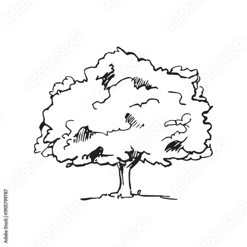 Hand drawn champagne bottle in an ice bucket illustrated in clean black ink line art style, minimal elegant alcohol illustration isolated on white background.